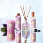 Диффузор Collines de Provence, Patchouli and Tonka 100 мл купить