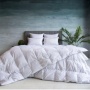Одеяло German Grass Gray Familie Down,  140х205