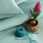 Постельное белье Issimo Home Симпли, ментол, евро, сатин DELUXE купить